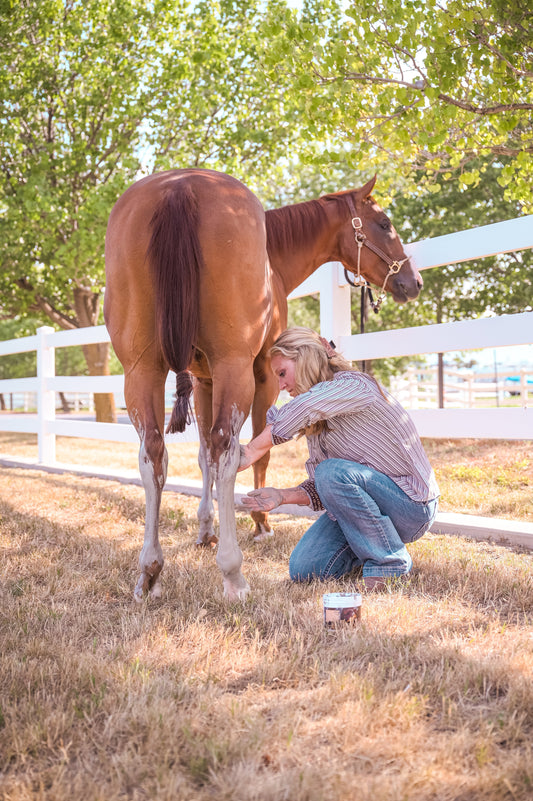 Why Maks Magic Mud’s Clay Base is the Gold Standard for Equine Recovery