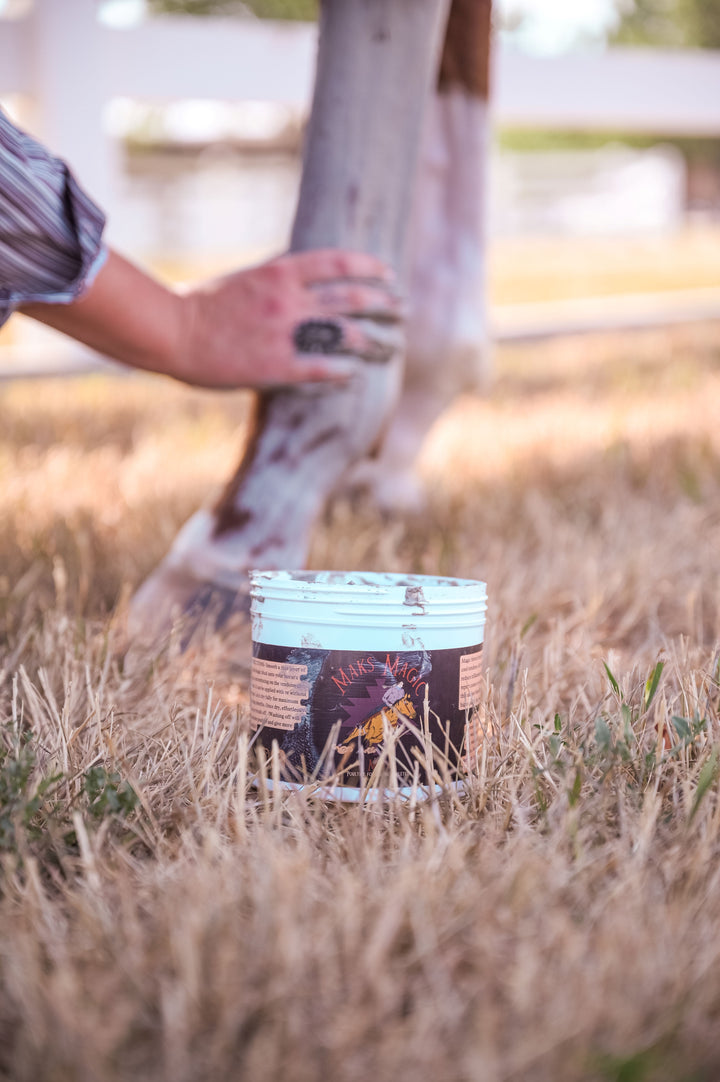 Equine Products – Maks Magic